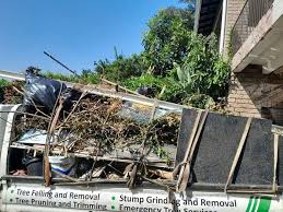 Junk Removal for Events in Marshallville, GA